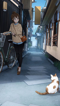 猫的陪伴