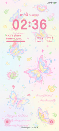 Romantic Butterfly