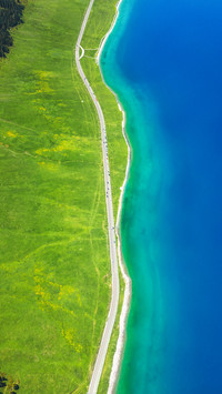 Aerial view of pine trees in sayram lake from a high