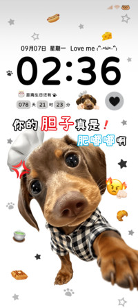 腊肠小狗胆子肥嘟嘟