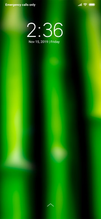 Green bamboo_DWM3