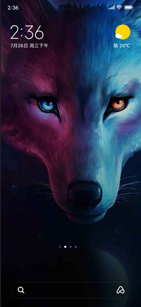 Night fox