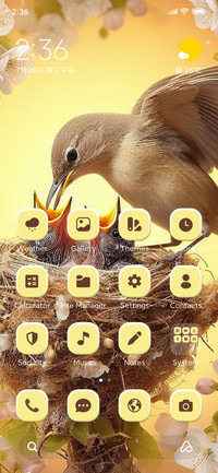 Bird Feeding
