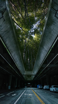Fallen Road SGDesigns