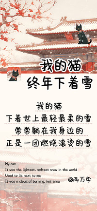 我的猫终年下着雪