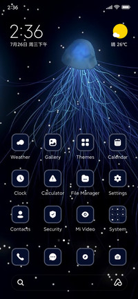 jellyfish