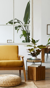 Open Space with Yellow Velvet Sofa and Personal Accessories
