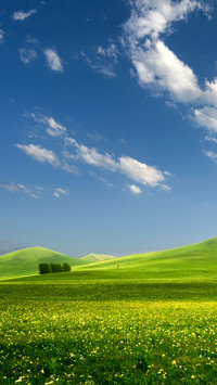 Eye protection and fresh grass