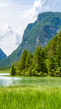 绿色护眼风景-拍信图库