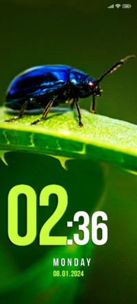 leaves beetle