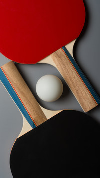 National sports table tennis