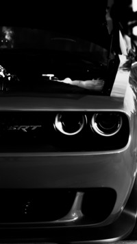 Cars and Bikes (14)