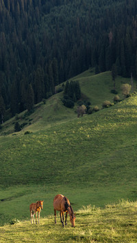 The magnificent scenery of Xinjiang is boundless