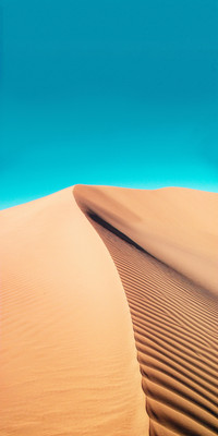 Desert 1.jpg