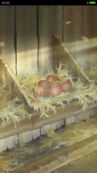 小鸡出生