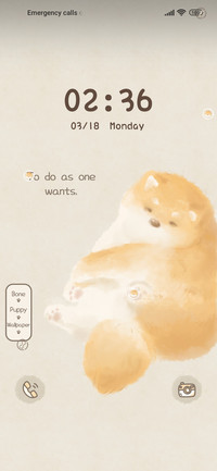 Buddha is a puppy