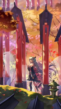 花瓣纷飞