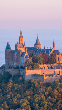 Fancy a castle (3)