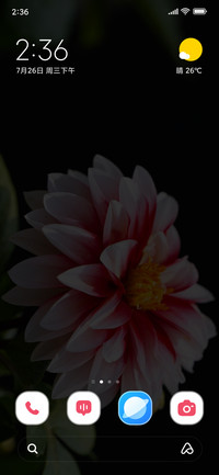 Pink Flower