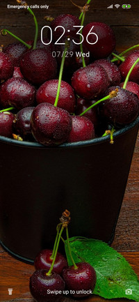 Cherry - Fruit_3MDS