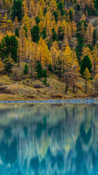 Lake in autumn