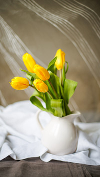 Yellow tulips in a white jug