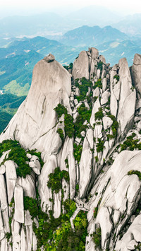Heavenly Pillar Mountain's sea of clouds