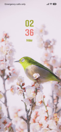 Small Bird
