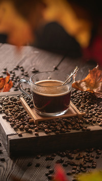 Coffee 24