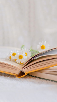 Chamomile flowers in open book