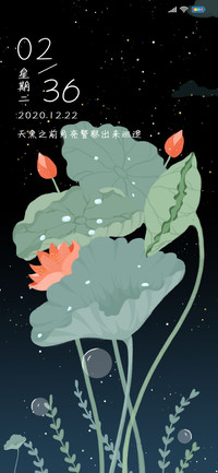 荷叶飘飘