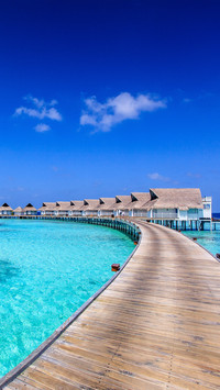 Maldives one island one world