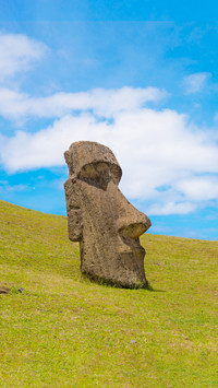 Decoding the mystery of the megalithic statue