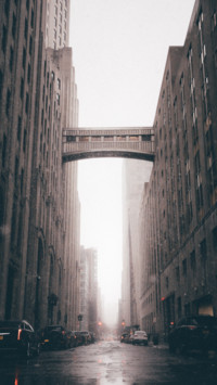 Bridges 2 (17)