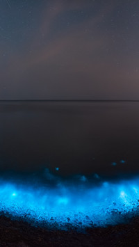 Dalian fluorescent heart bay