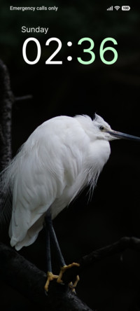 Marsh Guardian