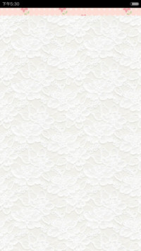 蕾丝小碎花清新风（百变锁屏、自由桌面、ios7解锁、音乐界面）