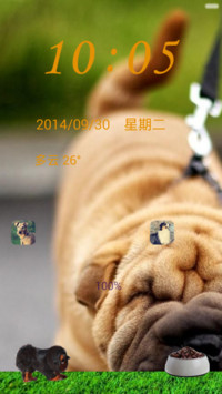 汪星人