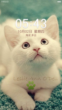 喵小姐