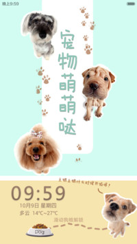 宠物萌萌哒
