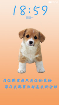 小黄是条狗