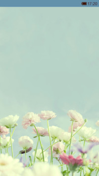 花花世界