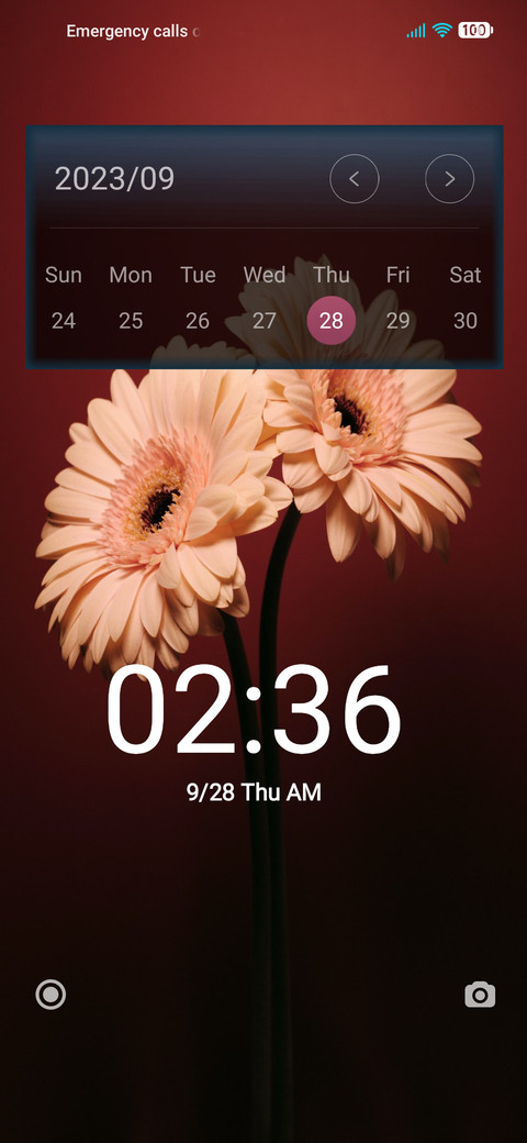 Flowers preview