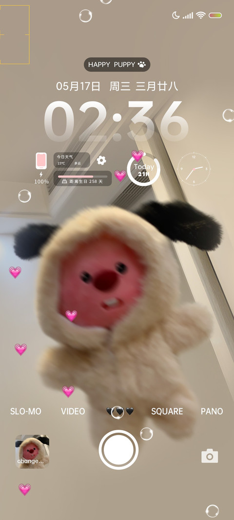 小飞狗来咯 preview