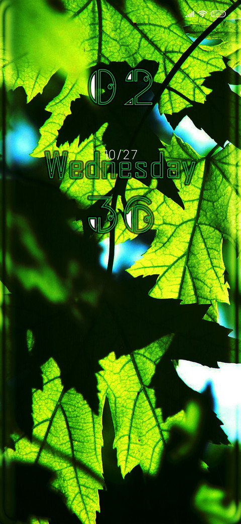 Maple Leaves preview