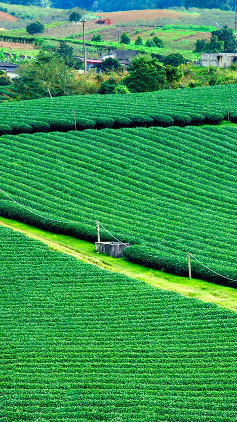 Working in the fields preview