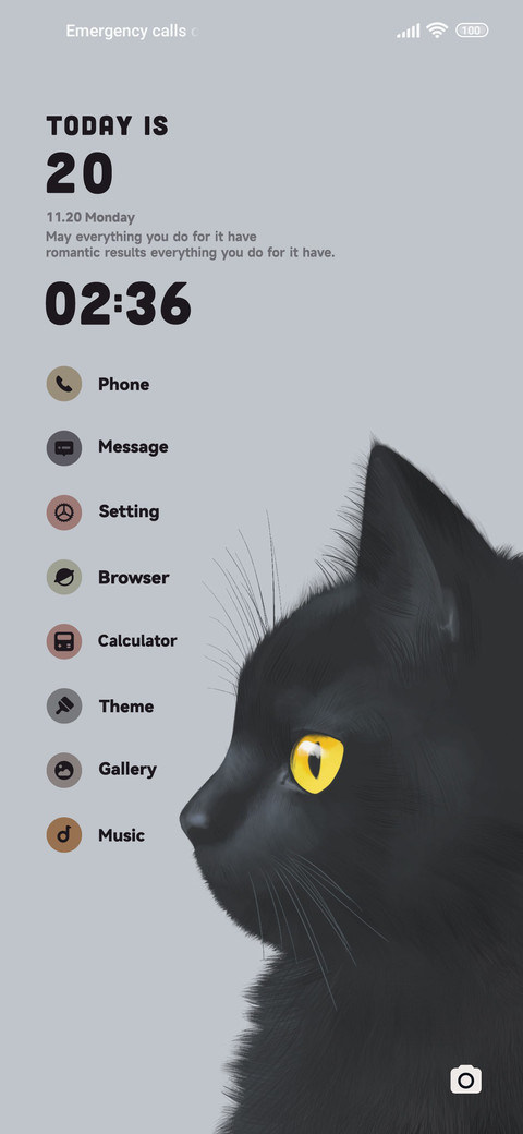 Black Cat preview