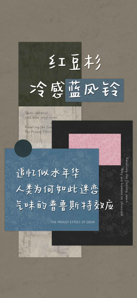 红豆杉冷感蓝风铃 preview
