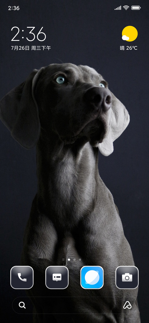 My Dog preview