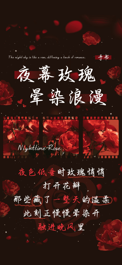 夜幕玫瑰晕染浪漫 preview